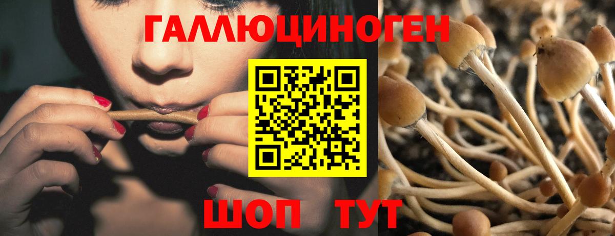 Тавда  Галлюциногенные грибы Magic Shrooms  Вход с VPN 